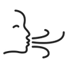 Icon 9