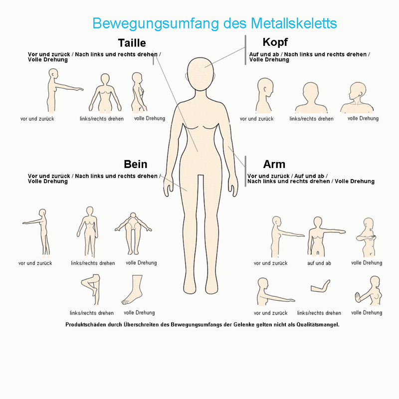 Bewegungsumfang des Metallskeletts auf Deutsch