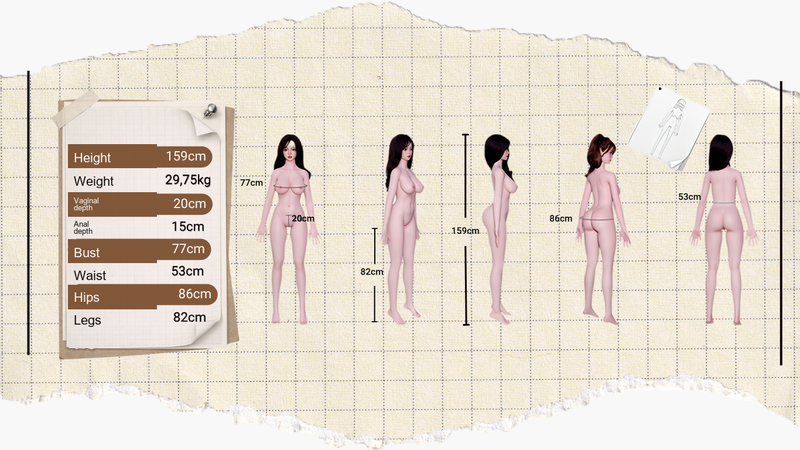 Isabella 159 cm measurements in English
