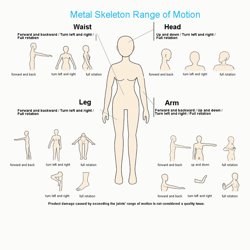 Metal skeleton range of motion in English