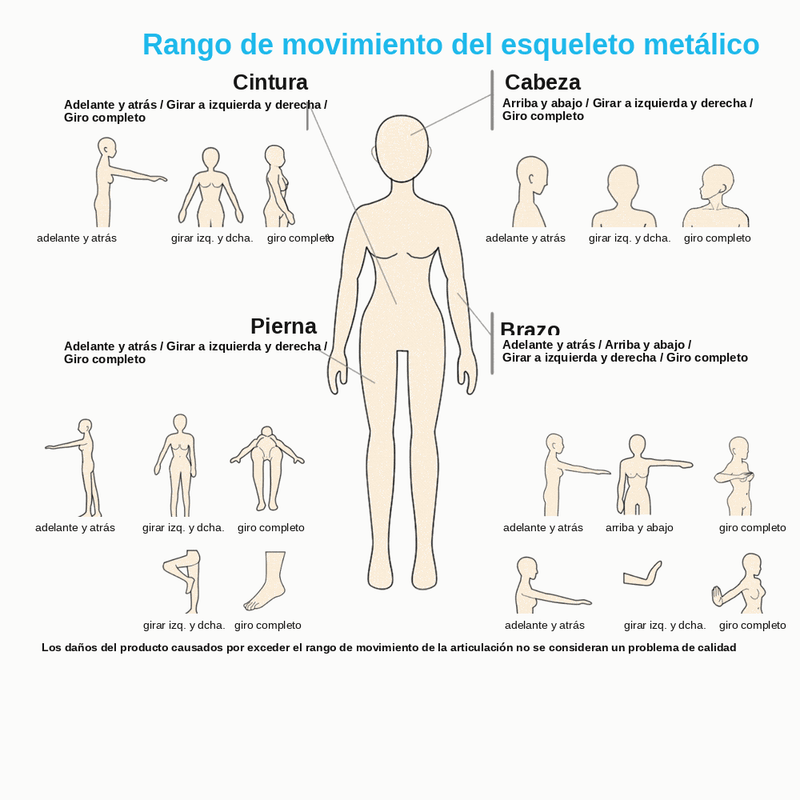 Rango de movimiento del esqueleto metálico en español