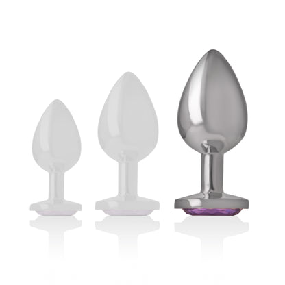 Plug anale in alluminio con cristallo viola — Intense