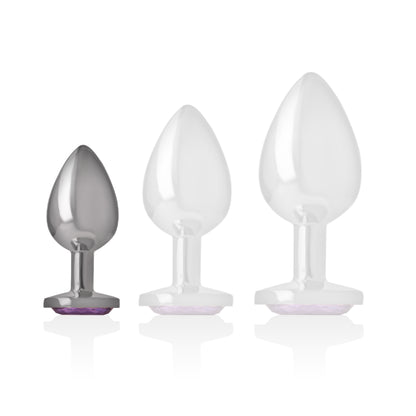 Plug anale in alluminio con cristallo viola — Intense